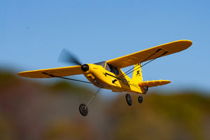 Sport Cub 400 Micro 3-Channel RTF Airplane with PASS System